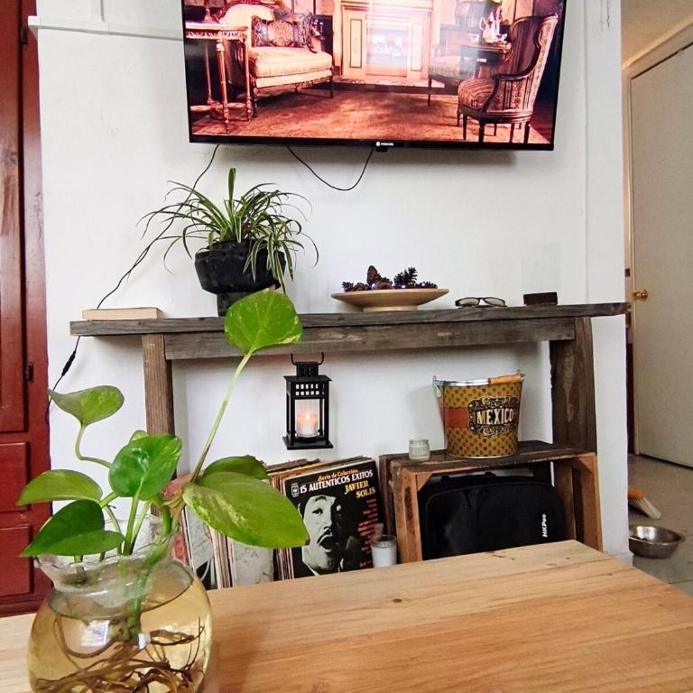 Casita Serenata, Perisur, Linea1Tren, Macrobus, CRIT - One-Bedroom Apartment - 2