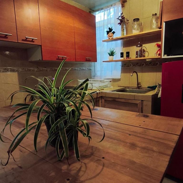 Casita Serenata, Perisur, Linea1Tren, Macrobus, CRIT - One-Bedroom Apartment - 6