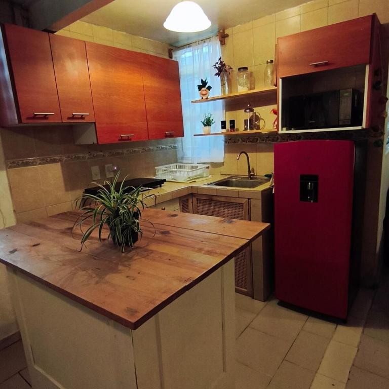 Casita Serenata, Perisur, Linea1Tren, Macrobus, CRIT - One-Bedroom Apartment - 7