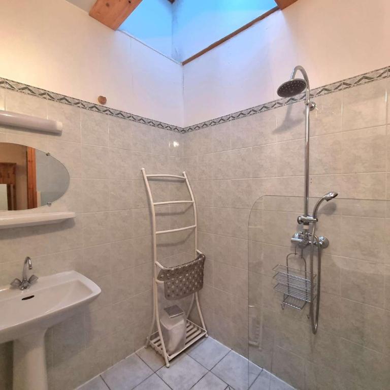 Appartement accueillant animaux - 10 pers. - FR-1-393-205 - Appartement - 6