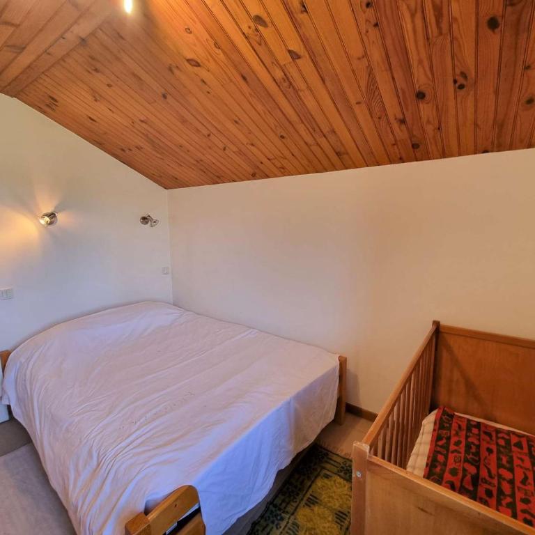 Chalet grand capacité, animaux admis - 18 pers. - FR-1-393-210 - Chalet - 15