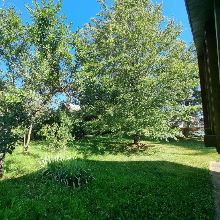 Chalet spacieux, animaux admis - 10 pers. - FR-1-393-221 - Chalet - 11