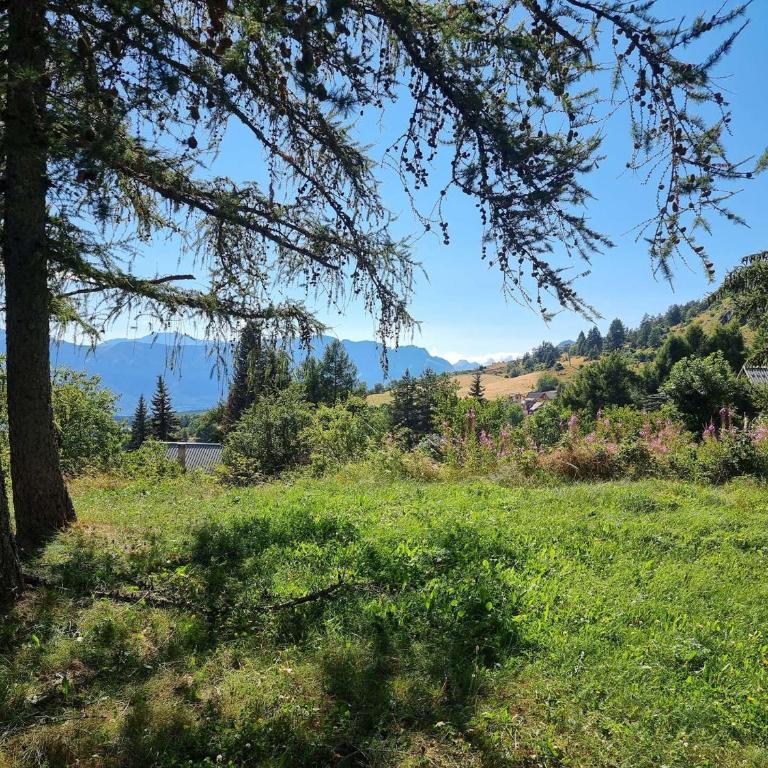 Chalet spacieux, animaux admis - 10 pers. - FR-1-393-221 - Chalet - 12