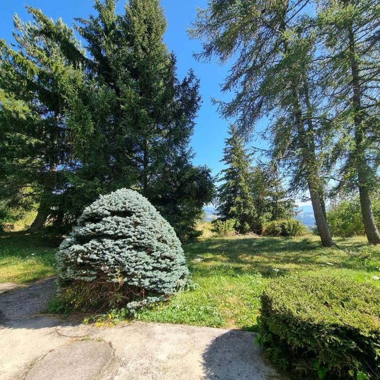 Chalet spacieux, animaux admis - 10 pers. - FR-1-393-221 - Chalet - 13