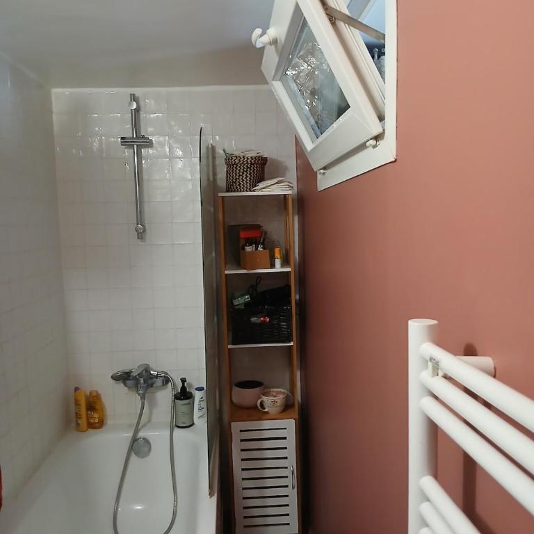 Sunny and Central Flat with a cute cat - Appartement 1 Chambre - 3