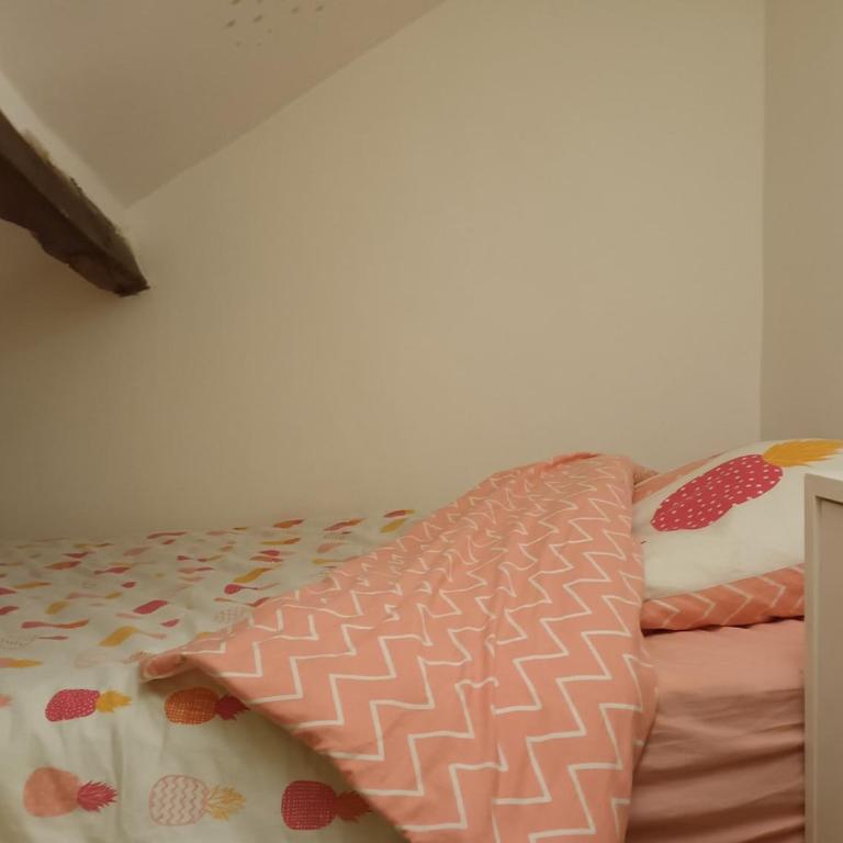 Sunny and Central Flat with a cute cat - Appartement 1 Chambre - 4