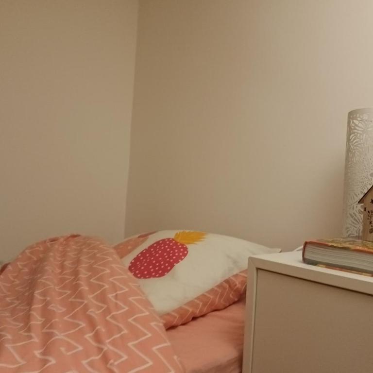 Sunny and Central Flat with a cute cat - Appartement 1 Chambre - 5