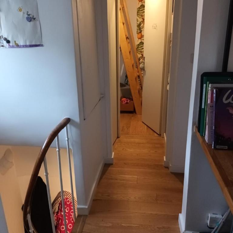 Sunny and Central Flat with a cute cat - Appartement 1 Chambre - 11
