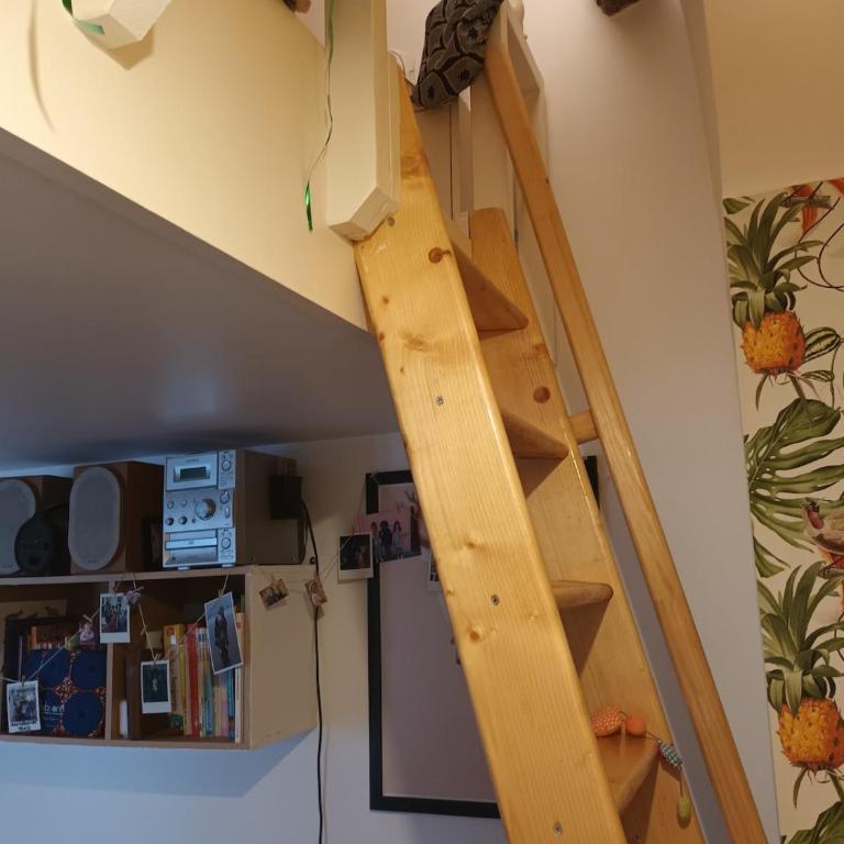 Sunny and Central Flat with a cute cat - Appartement 1 Chambre - 13