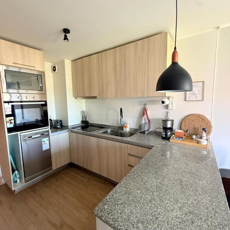 Departamento en Valdivia - Apartamento de 2 dormitorios - 13