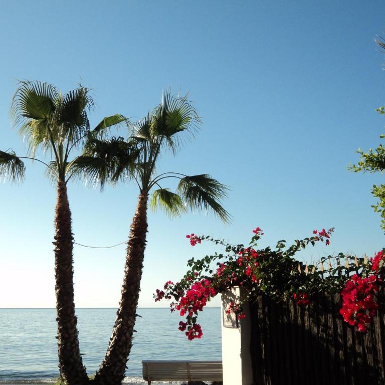 Casa Mariana - Apartamento - Planta baja - 1
