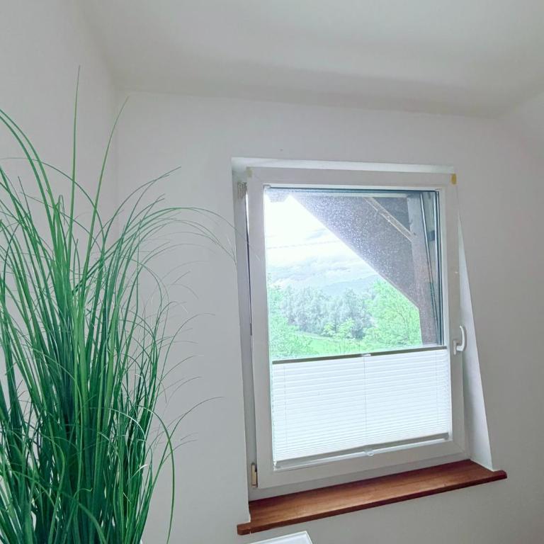 Urlaub in Kärnten - Haus Gostenig - Apartment mit 2 Schlafzimmern - 28