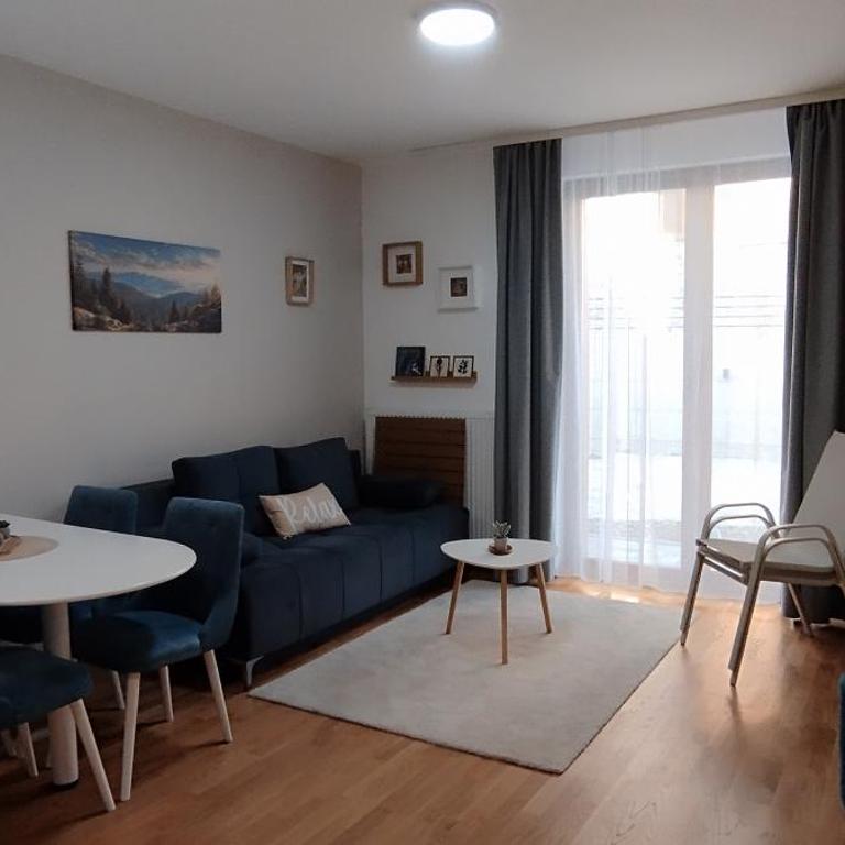 Divčibor - Apartman sa 1 Spavaćom Sobom - 33