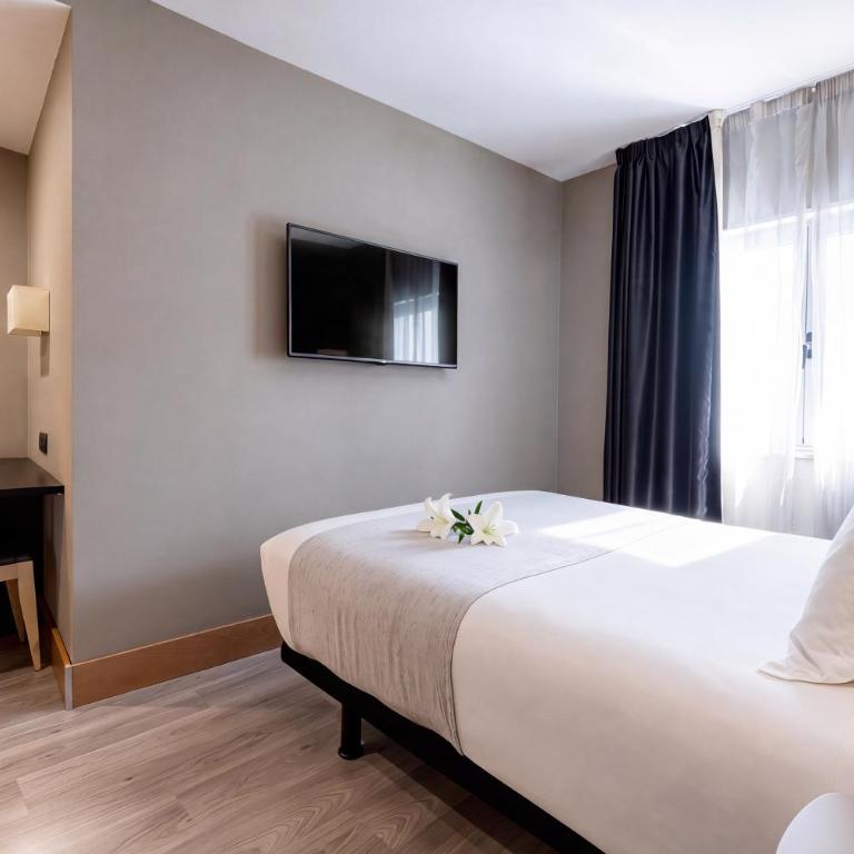 Hotel Plaza - Habitación Individual Estándar - 1
