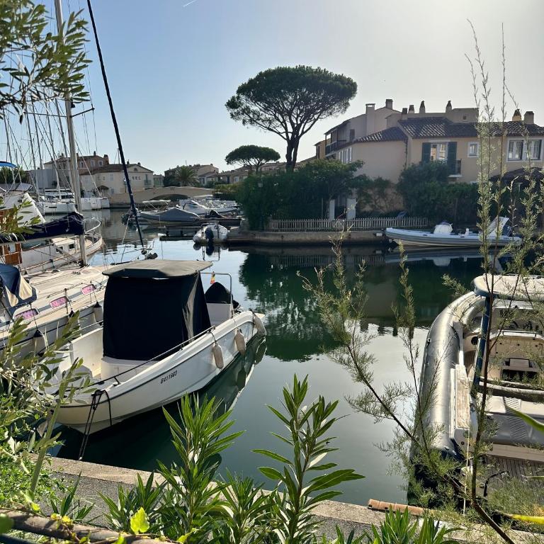 Appartement Port Grimaud 2/4 pers avec grande terrasse - Appartement 1 Chambre - 1