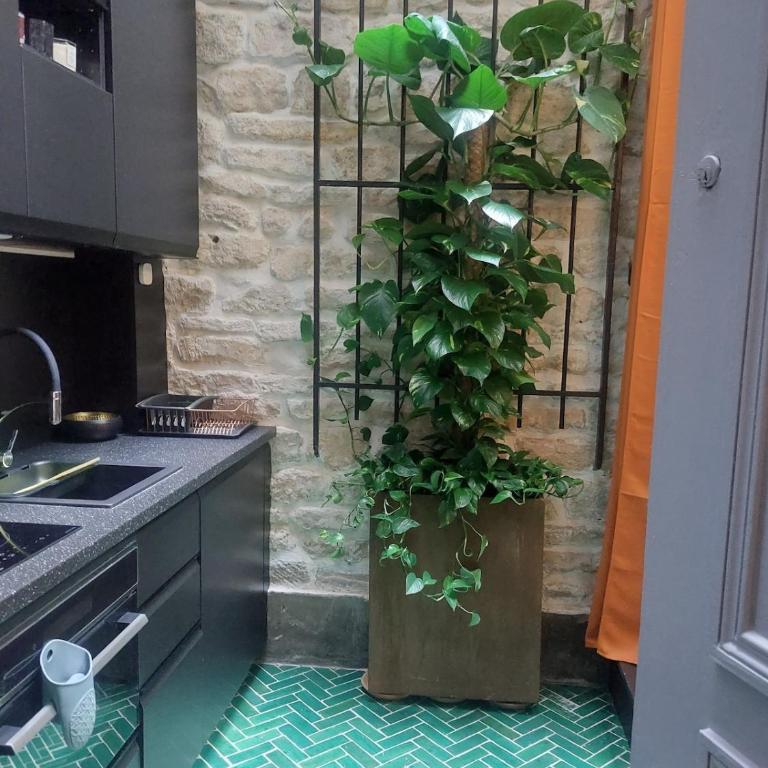 Le petit atelier des lumières, Climatisé, Véranda agréable - Appartement 1 Chambre - 23