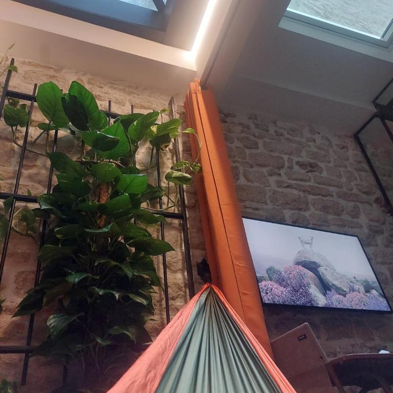 Le petit atelier des lumières, Climatisé, Véranda agréable - Appartement 1 Chambre - 26