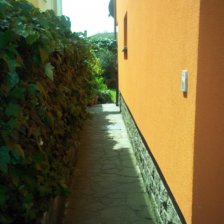Casa Mirella - Appartamento - Piano Terra - 12