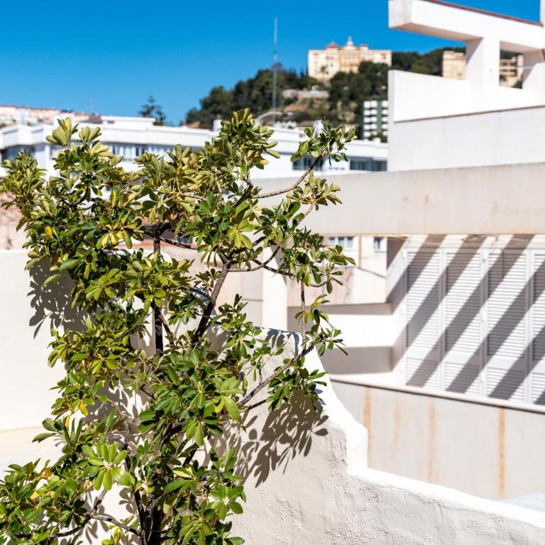 Casa Jabega Sunset Beach House by Del Parque Flats - Casa Unifamiliar de 2 dormitorios - 30
