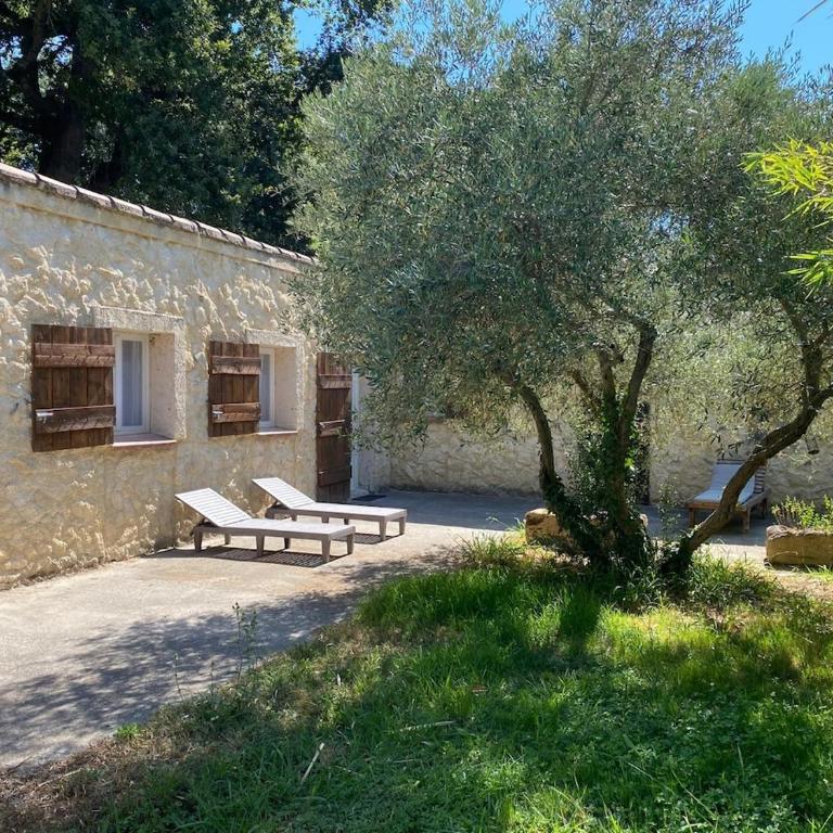 Mazet 2 chambres Île de la Barthelasse Avignon - Maison 2 Chambres - 13