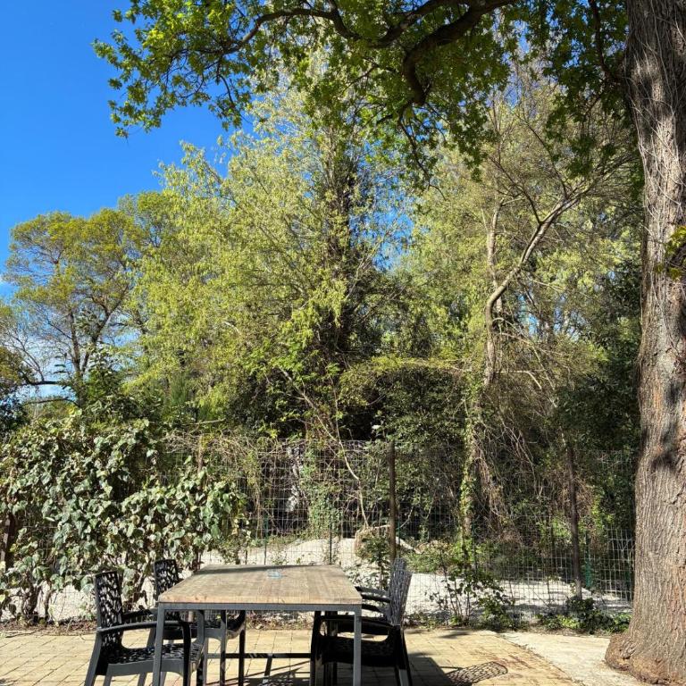 Mazet 2 chambres Île de la Barthelasse Avignon - Maison 2 Chambres - 15