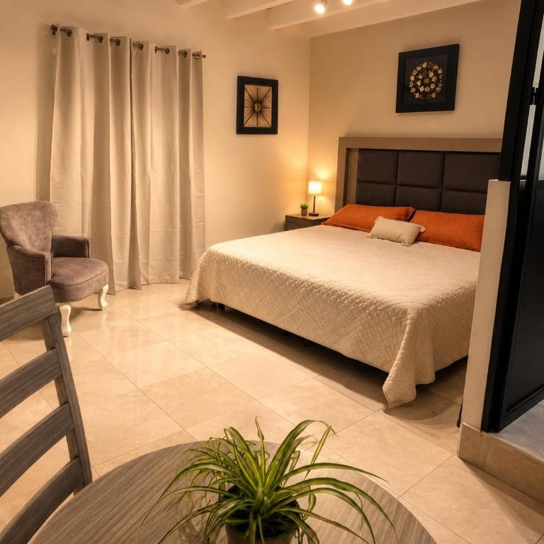 Casa Alma Historic Center - Apartamento de 1 dormitorio - 5