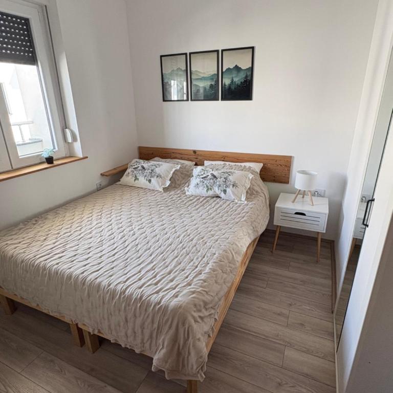 NP Apartman - Apartman sa 1 Spavaćom Sobom - 3