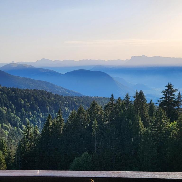 Cocon Alpin - Vue Sublime Montagne - 200m Télécabine - Appartement 1 Chambre - 5