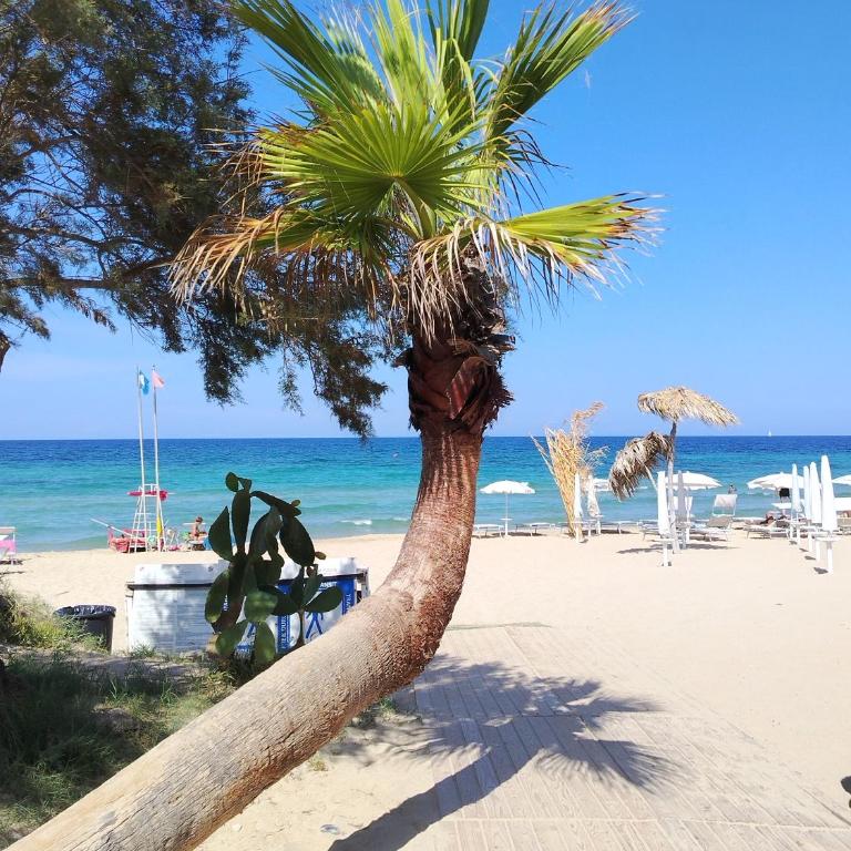 La Quercia Sul Mare - Appartamento con 1 Camera da Letto - 22