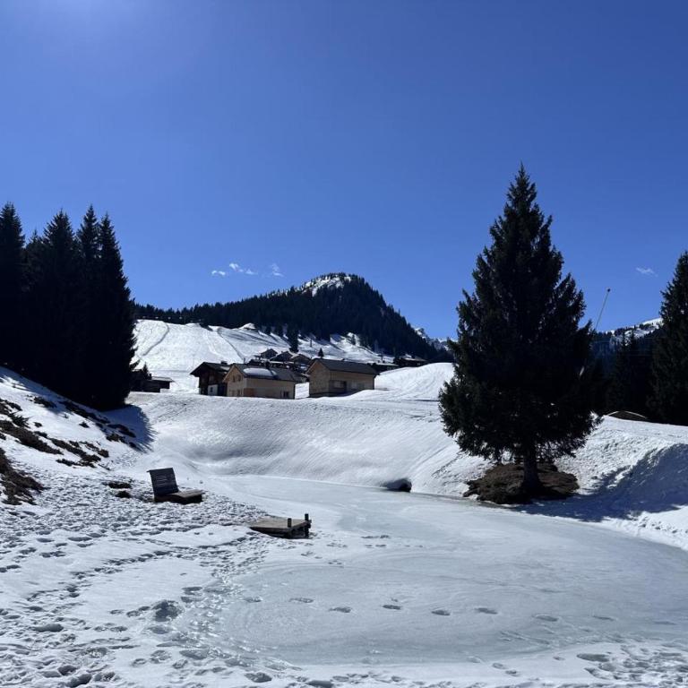 Gantekopfhütte myRelaxs Ferienwohnung Schwarzwaldschdub - Apartment - 41