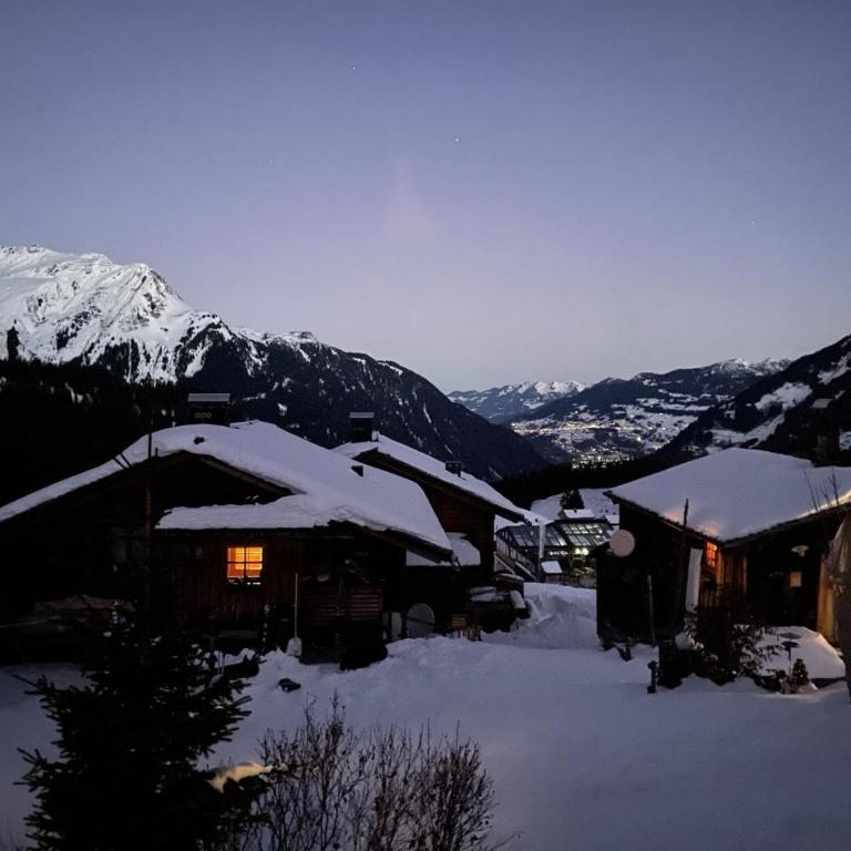 Gantekopfhütte myRelaxs Ferienwohnung Schwarzwaldschdub - Apartment - 48