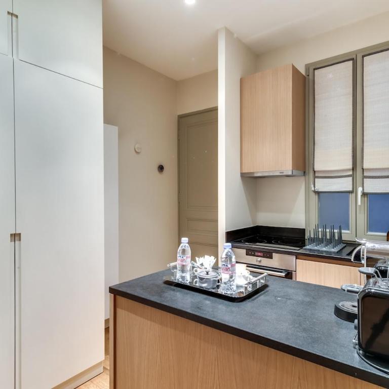 Cosy 1BR apartment with AC, next to Avenue Montaigne - Appartement 2 Chambres - 9