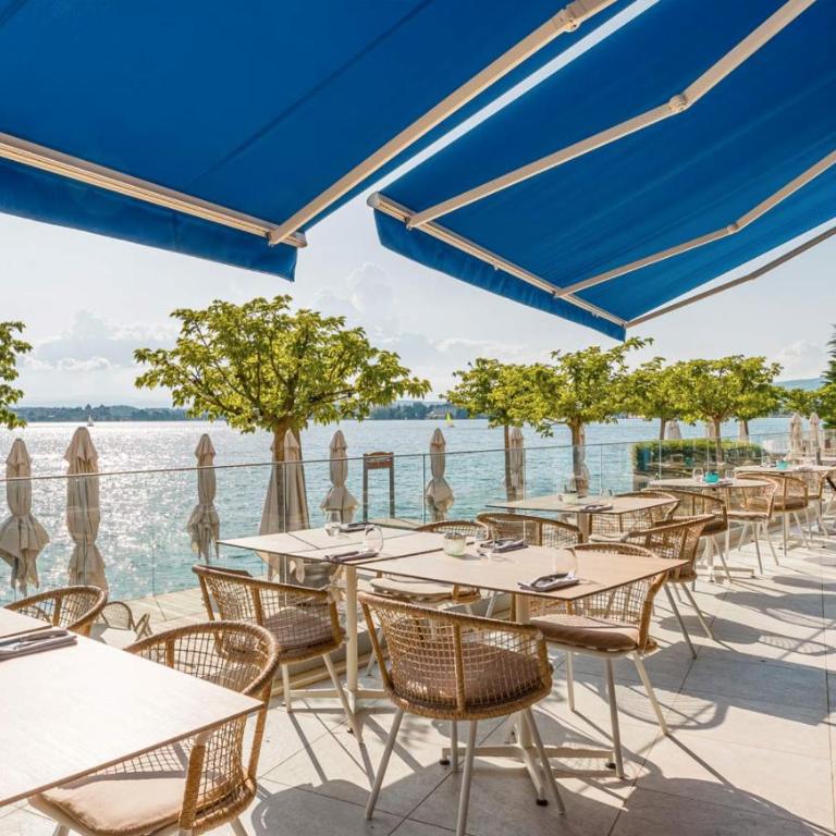 La Merle Rez-de-jardin Vue extraordinaire Lac Annecy - Climatisation - Appartement - Vue sur Lac - 28