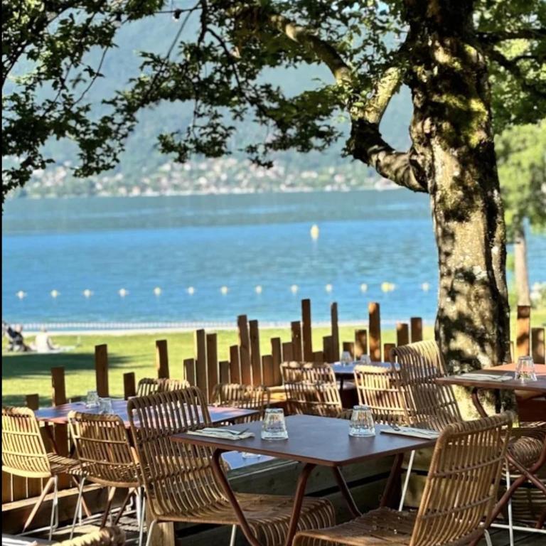 La Merle Rez-de-jardin Vue extraordinaire Lac Annecy - Climatisation - Appartement - Vue sur Lac - 29