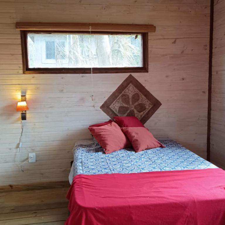 Crisalida - Apartamento de 1 dormitorio - 1