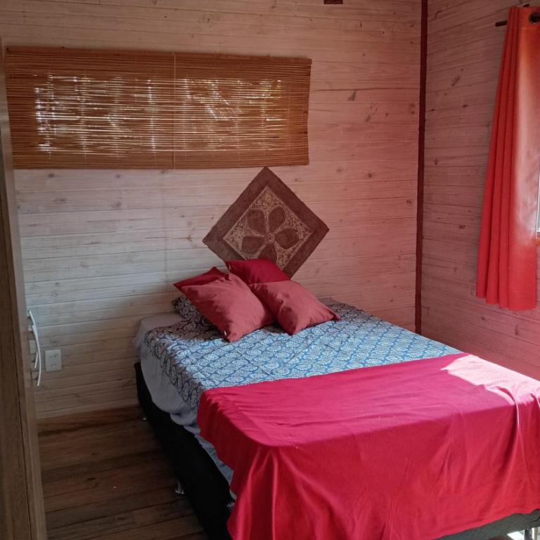 Crisalida - Apartamento de 1 dormitorio - 2