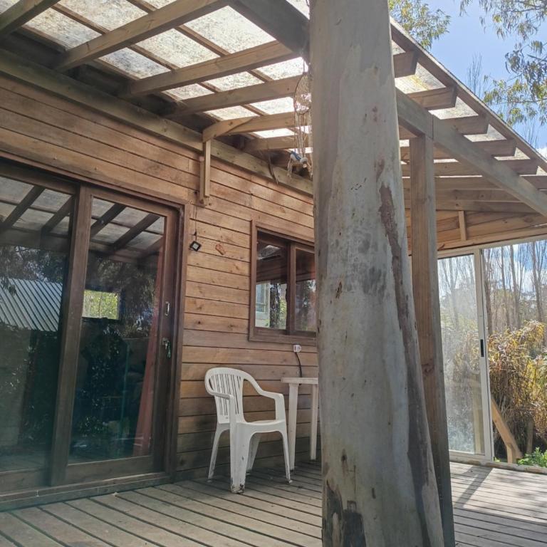 Crisalida - Apartamento de 1 dormitorio - 3