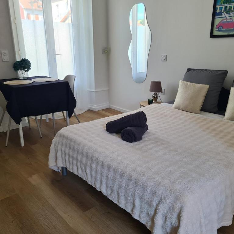 Studio Le Marlioz Parking Prive - 5 min du centre - Appartement 1 Chambre - 17