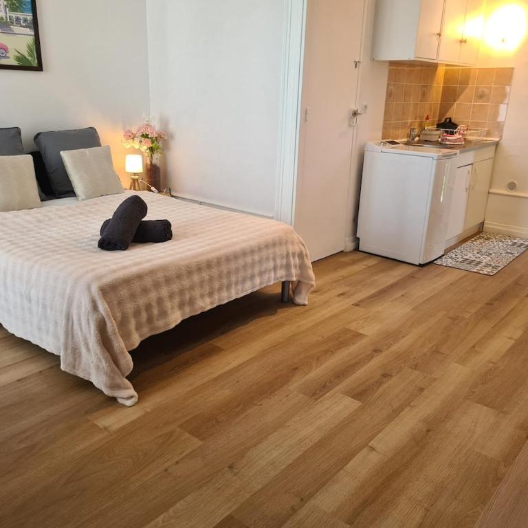 Studio Le Marlioz Parking Prive - 5 min du centre - Appartement 1 Chambre - 18