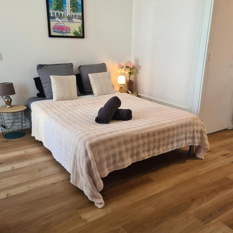 Studio Le Marlioz Parking Prive - 5 min du centre - Appartement 1 Chambre - 24