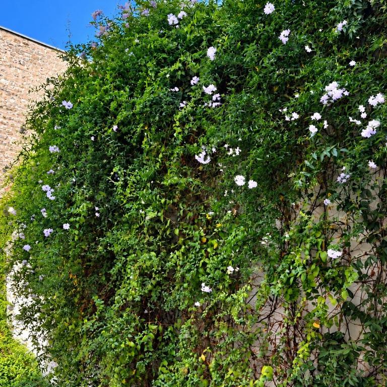 Le Marais Gallery - Elegant 1-Bedroom Apartment - Apartment mit 1 Schlafzimmer - 15