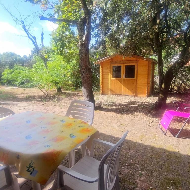 Large family apart with garden close to the beach - Apartment - 16