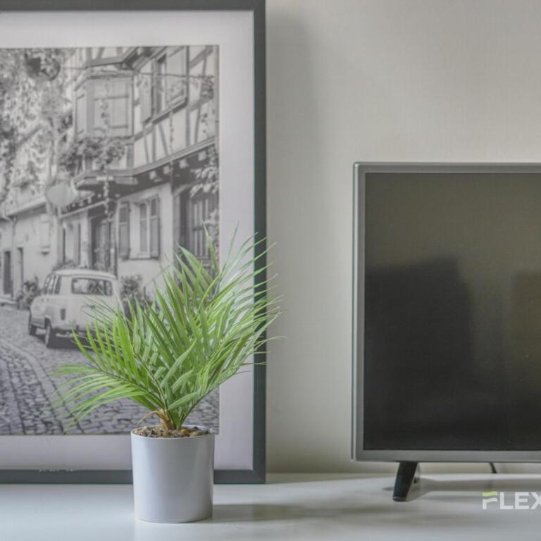 Immeuble Mademoiselle - Apartment - 4
