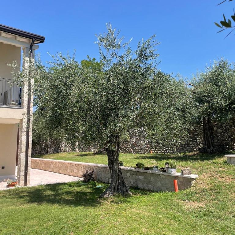 Olivo Apartment - Adults Only - Appartamento Deluxe con 2 Camere da Letto e Vista Giardino - 25