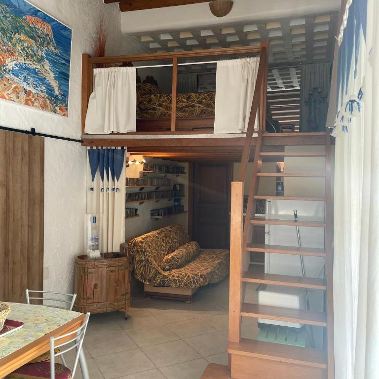 Fleurs de Pampa - Appartement avec Terrasse - 6