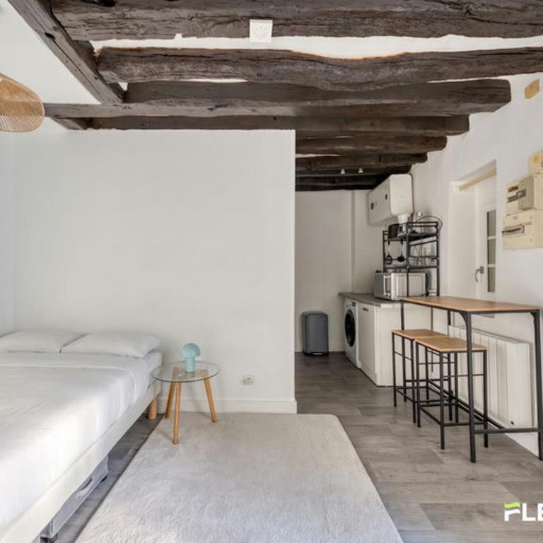 Cozy studio close to Luxembourg Gardens Paris 7 - Apartment - 4