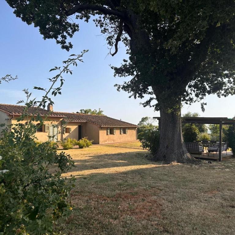 Casa Stalletta, Hot Tub, Bolgheri - Three-Bedroom House - 8