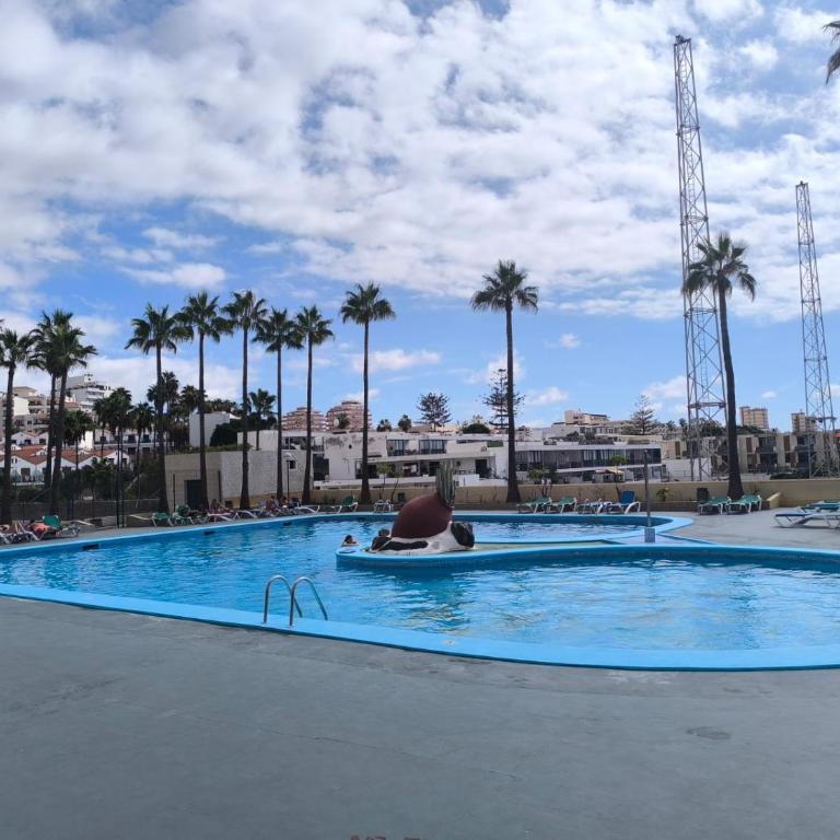 Apartment Torres de Yomely - Apartamento de 1 dormitorio - 15