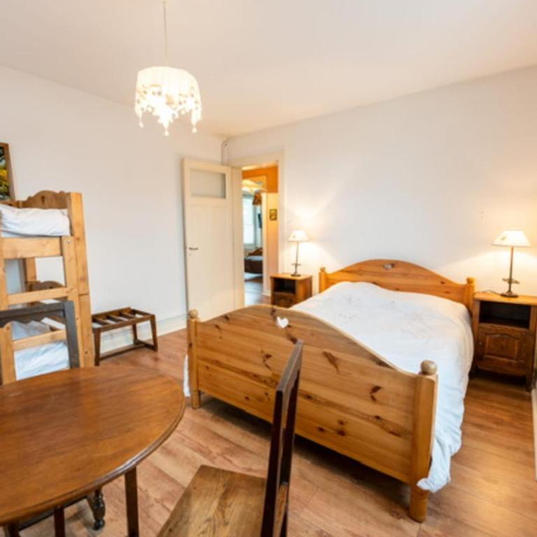 Gerardmer plein Centre proche lac et ski - Appartement - 9