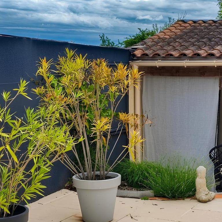 La Villa Benedictins - Piscine & Grand Jardin - Villa 3 Chambres - 33